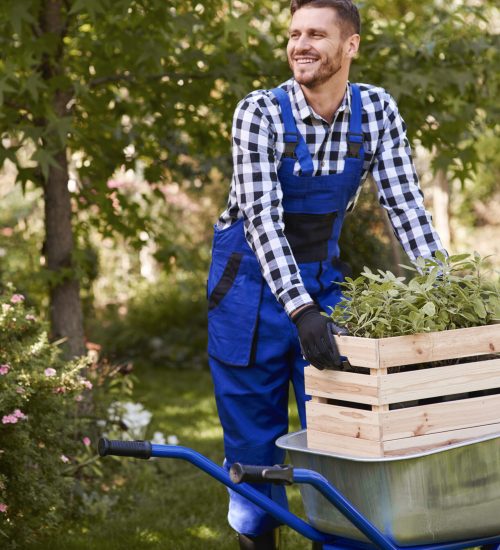 Cheerful gardener planting seedling